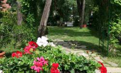 Hotel Riva***