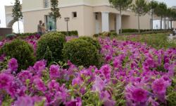 Sunset Resort*****