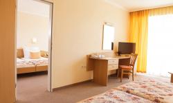 Hotel Wela ****