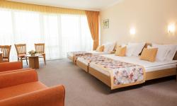 Hotel Wela ****