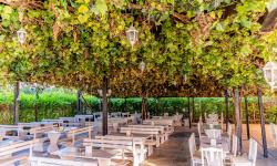 Hotel Izola Paradise****