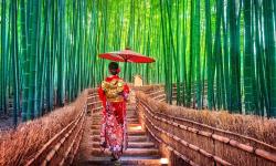 Japonsko a EXPO 2025 Osaka