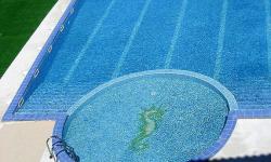 Hotel Mořský Koník ***