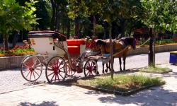 Sozopol