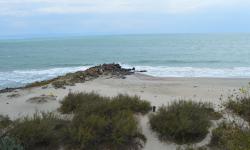 Pomorie